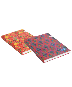 REGISTRE A4 60G 5X5 COULEUR