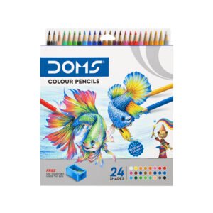 DOMS Crayon de couleur 24pcs avec rangement interieur + taille  crayon